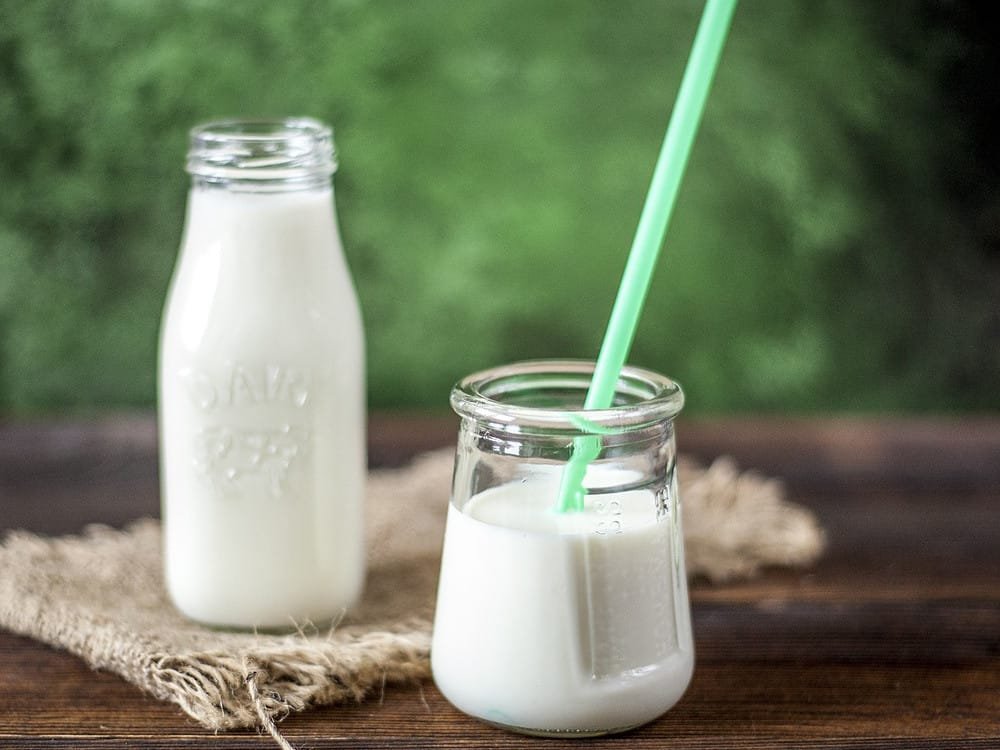 Pintura de leche casera