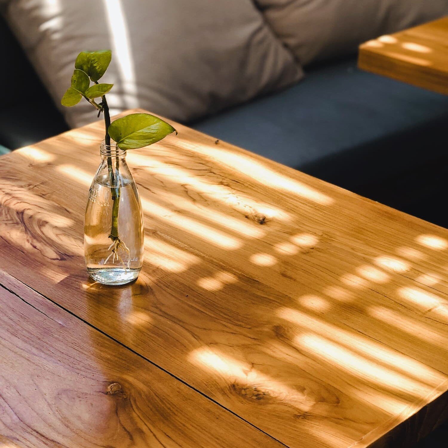 Tipos de barniz para madera